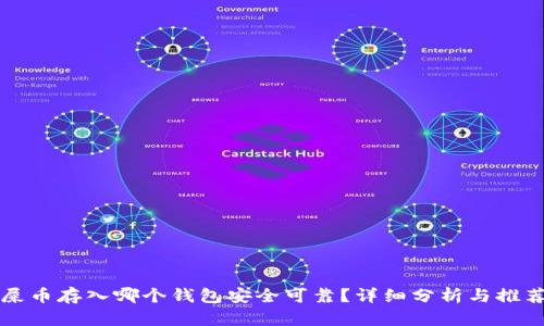 屎币存入哪个钱包安全可靠?详细分析与推荐
