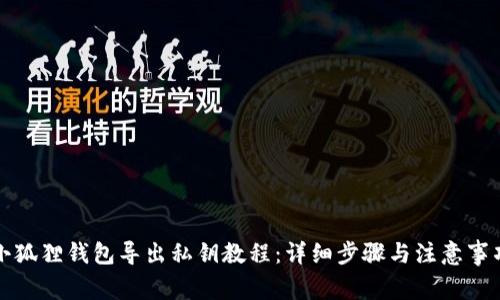 小狐狸钱包导出私钥教程：详细步骤与注意事项
