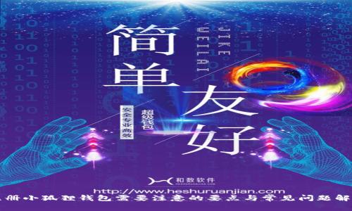 注册小狐狸钱包需要注意的要点与常见问题解答