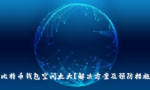 比特币钱包空间太大？解决方案及预防措施
