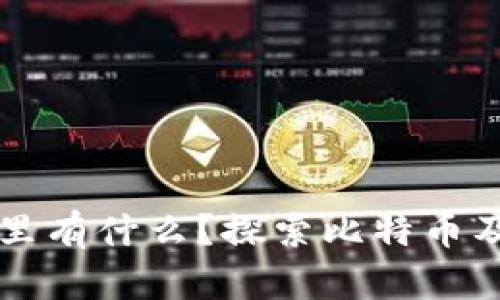 比特币钱包里有什么?探索比特币及其存储方式