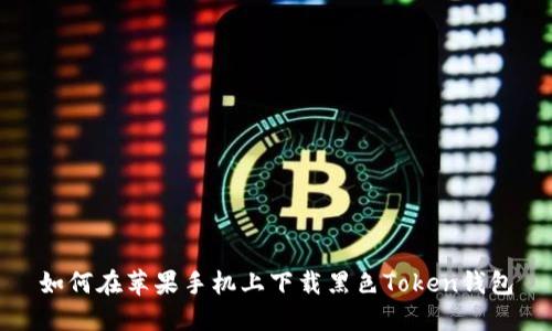 如何在苹果手机上下载黑色Token钱包