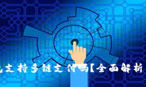小狐狸钱包支持多链支付吗?全面解析与应用指南