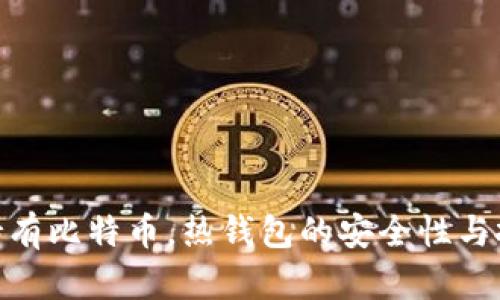 : 长期持有比特币，热钱包的安全性与投资策略