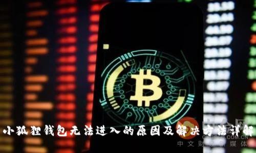 小狐狸钱包无法进入的原因及解决方法详解