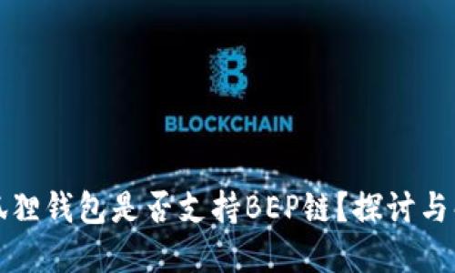 小狐狸钱包是否支持BEP链?探讨与解读