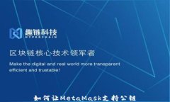 如何让MetaMask支持公链