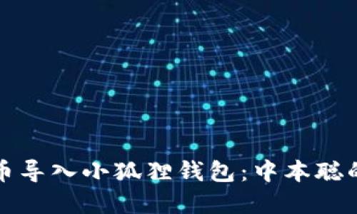 如何将比特币导入小狐狸钱包:中本聪的理念与实践