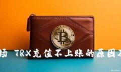 IM钱包波场 TRX充值不上账