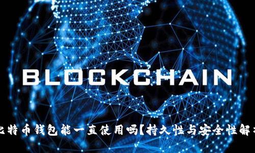 比特币钱包能一直使用吗？持久性与安全性解析