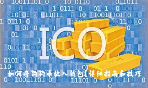 如何将狗狗币放入钱包?详细指南和技巧