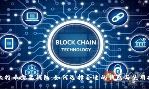 玩比特币需要钱包：如何选择合适的钱包与使用指南