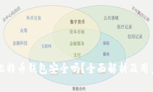 苹果比特币钱包安全吗?全面解析及用户指南
