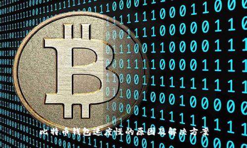 比特币钱包速度慢的原因及解决方案