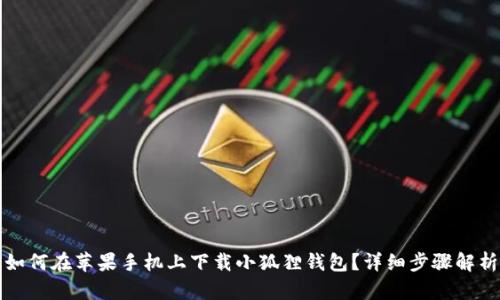 如何在苹果手机上下载小狐狸钱包？详细步骤解析