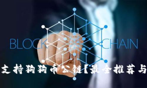 哪些钱包支持狗狗币公链?最全推荐与使用指南