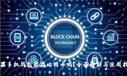 苹果手机钱包能存比特币吗？全面解析与使用指南