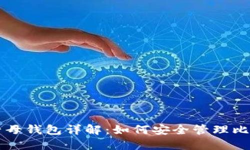 比特币子母钱包详解:如何安全管理比特币资产