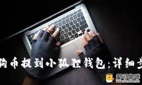 如何把狗狗币提到小狐狸钱包:详细步骤与技巧