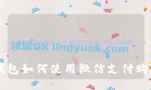 比特币钱包如何使用微信支付购买比特币
