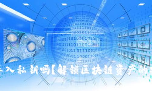 小狐狸钱包能导入私钥吗?解锁区块链资产的安全性与便捷性