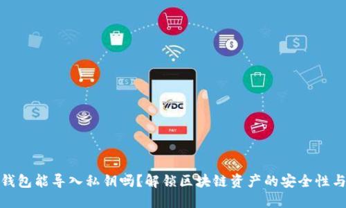 小狐狸钱包能导入私钥吗?解锁区块链资产的安全性与便捷性