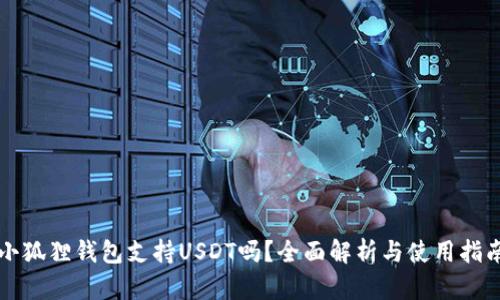 小狐狸钱包支持USDT吗？全面解析与使用指南