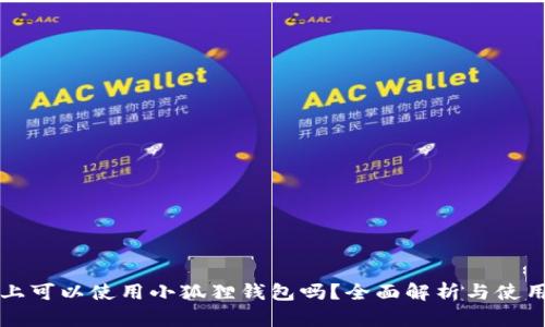 iPad上可以使用小狐狸钱包吗?全面解析与使用指南