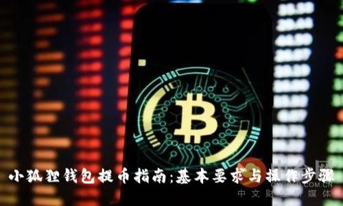 小狐狸钱包提币指南:基本要求与操作步骤