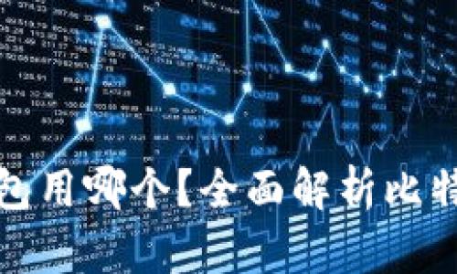 存放比特币钱包用哪个？全面解析比特币钱包的选择