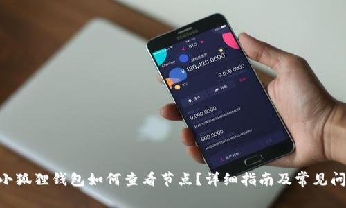 hiaoti小狐狸钱包如何查看节点?详细指南及常见问题解答