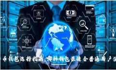 比特币钱包选择指南：哪
