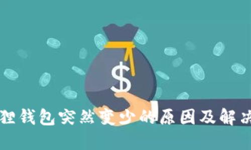 小狐狸钱包突然变少的原因及解决方法