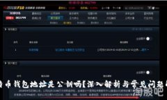 比特币钱包地址是公钥吗