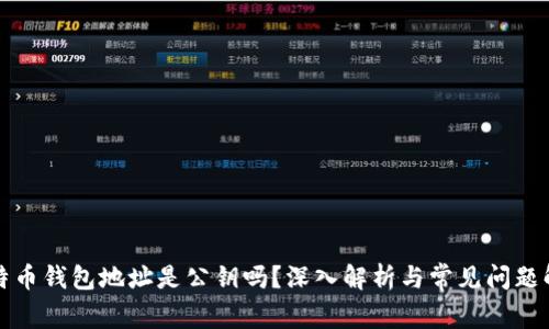 比特币钱包地址是公钥吗？深入解析与常见问题解答