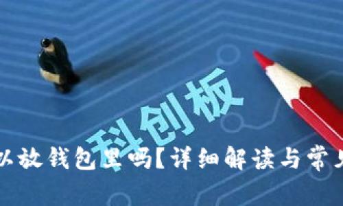 狗狗币可以放钱包里吗?详细解读与常见问题解析