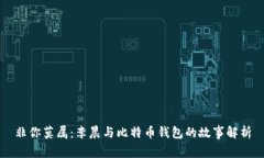 非你莫属：李晨与比特币