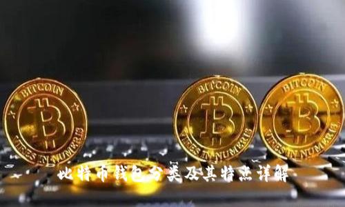 比特币钱包分类及其特点详解