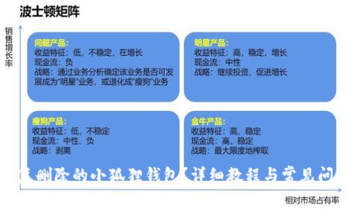 如何恢复删除的小狐狸钱包?详细教程与常见问题解析