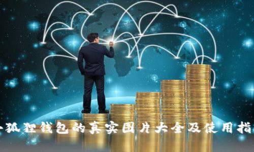 小狐狸钱包的真实图片大全及使用指南