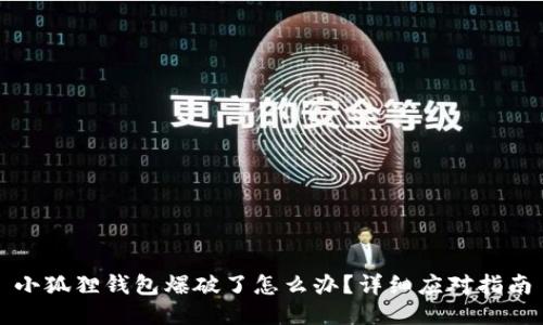 小狐狸钱包爆破了怎么办?详细应对指南