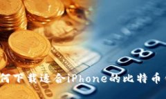  如何下载适合iPhone的比特