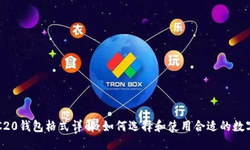 USDT-ERC20钱包格式详解:如何选择和使用合适的数字货币钱包