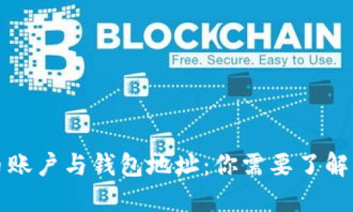 比特币账户与钱包地址:你需要了解的一切
