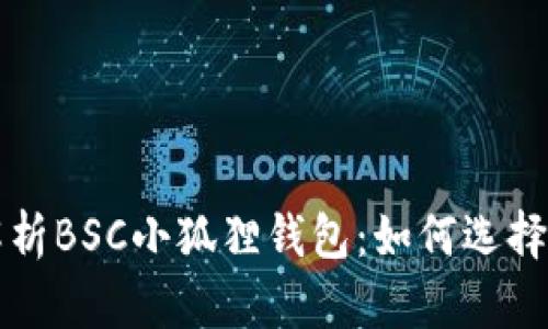 全面解析BSC小狐狸钱包：如何选择与使用