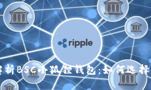 全面解析BSC小狐狸钱包：如何选择与使用