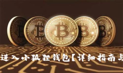 怎么进入小狐狸钱包?详细指南与FAQ