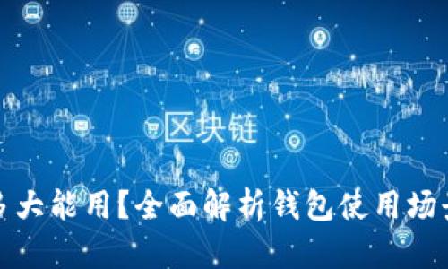 小狐狸钱包多大能用?全面解析钱包使用场景与适合人群