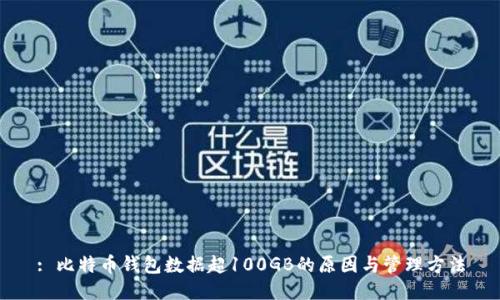 : 比特币钱包数据超100GB的原因与管理方法