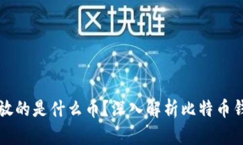 比特币钱包存放的是什么币?深入解析比特币钱包的工作原理